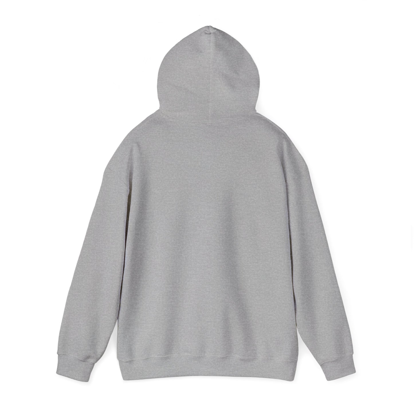 Cozy Hoodie (CT)