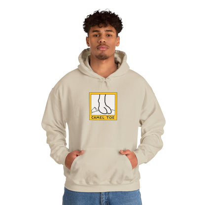 Cozy Hoodie (CT)